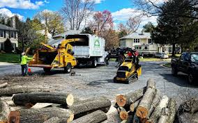 Best Hedge Trimming  in Braddock Hills, PA