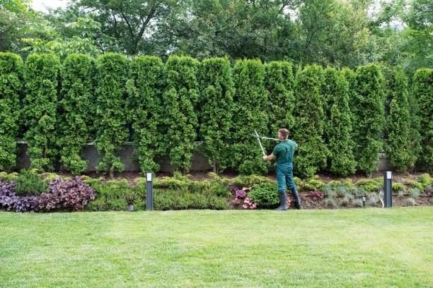 Artificial Turf Installation in Braddock Hills, PA